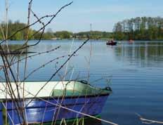 Neben der Erkundung des Sees mit einem bei den Gastronomiebetrieben angemieteten Paddel- oder Ruderboot gibt es auch die Möglichkeit, den See großräumig zu umwandern. Sowohl die Wanderung auf dem ca.
