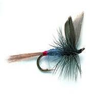 Hackled & Winged Dry Flies D223 Yellow Grey Hackle D584 Adams Wulff D43