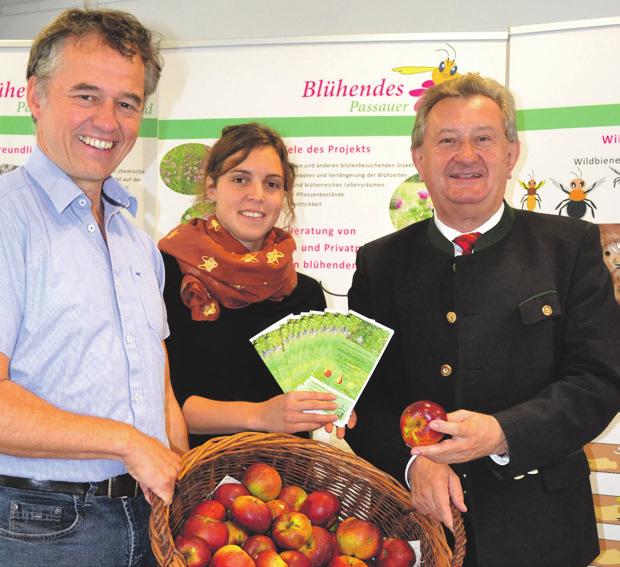 4 VERMISCHTES Wohin mit dem Obst? Landschaftspflegeverband gibt Broschüre über Annahmestellen heraus Kleine Häschen Von Doris Blöchl sind immer süß! Passau.