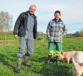 oliv BIO - Musterseite Land Schweiz Rubrik Reportage Schweine auf Wanderschaft Werner und Marianne Siegrist halten ihre Schweine auf der Wiese.