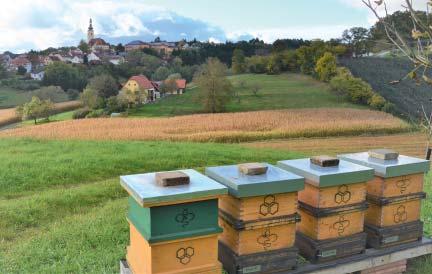 Das Wohl der Biene steht bei uns im Vordergrund - eine schonende Ressourcennutzung, eine dementsprechend angepasste Arbeitsweise und vor allem der sorgsame Umgang