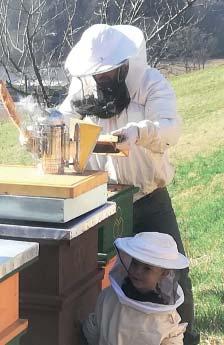 Weil wir sicher gehen wollen, dass nur das Beste in unseren Honig hineinkommt, werden die Aufstellungsorte unserer Bienenvölker sehr sorgfältig ausgewählt.