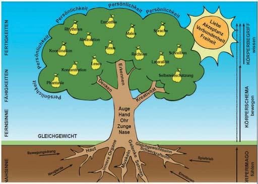 Baum der Wahrnehmungsentwicklung ihrer Selbstwirksamkeit bestärkt, indem sie ihre Konfl iktund Problem-, sowie Lernsituationen alleine meistern.