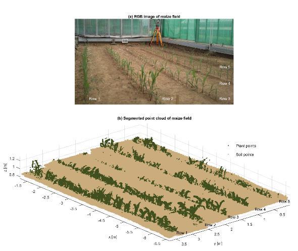 Chapter 4: Part III: 3-D reconstruction of maize plants using a time-of-flight camera 75 Figure 4-8: Maize field depicted as: (a) RGB image and (b) down sampled and segmented 3-D reconstruction going