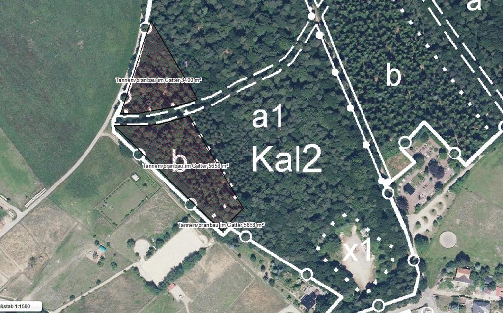 9: forstrechtliche Ausgleichsfläche 1: Gemarkung Kalenborn, Flur 2, Parzelle 20/3 (tlw.) (o. M.) 2.