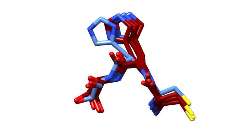 Ergebnisse wohingegen die Seitenkette im induzierten Monomer deutlich veränderte Torsionswinkel aufweist.