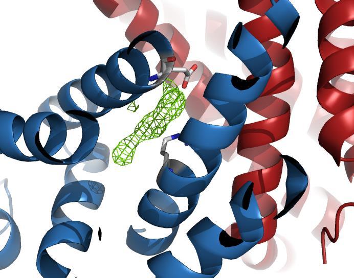 4 Vergleich der B-Faktoren der beiden Monomere in 4cgr Wie am Vergleich der beiden Monomere ersichtlich, gehen die Anbindung des Moleküls und die resultierende Bewegung der DNA-bindenden Domäne mit