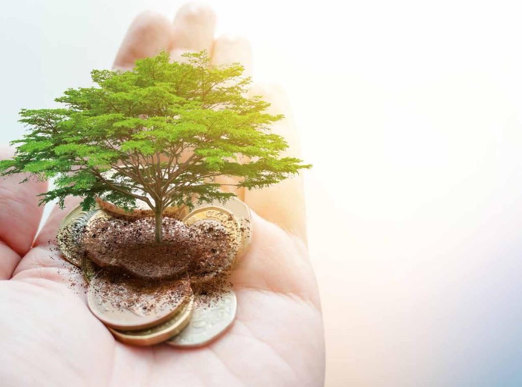 NACHHALTIGE GELDEINLAGEN Nachhaltig Geld anlegen mit gutem Gewissen Das Bewusstsein für das Thema Nachhaltigkeit wächst auch im Finanzbereich.
