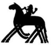 57. Sleipnir Sleipnir, das achtbeinige Pferd Odins, steht für Glück auf Reisen, Schnelligkeit aber auch die Verbindung zwischen den Welten und wird oft für schamanische Reisen verwendet aber auch für