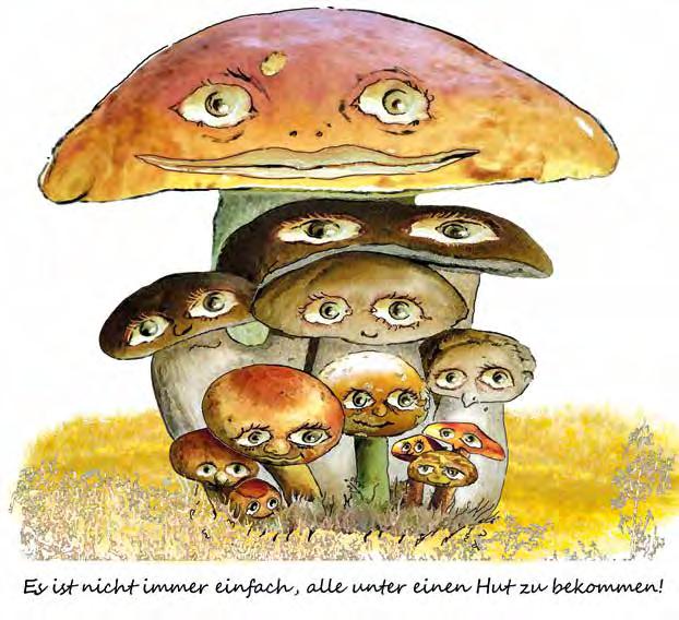Pilzsuche Grundlage hierfür ist das klassische Versteckspiel. Die Kinder sind Pilze und verstecken sich. Ein Kind sammelt sie als Pilzsucher ein.