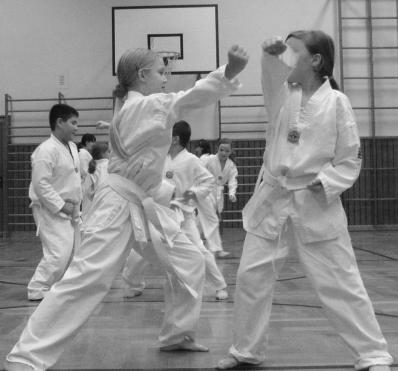Besonders schwer sind dabei die hohen Beintechniken, die für ein modernes Taekwondo charakteristisch sind.