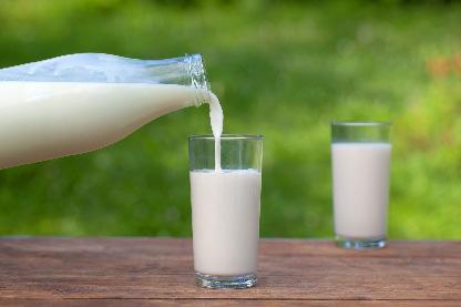 Entwicklungen im Milchbereich 30 Jahre Milchmengenregulierung Mit gemischten Gefühlen erwartete man das Auslaufen der Milch-Garantiemengen-Regelung (MGO).