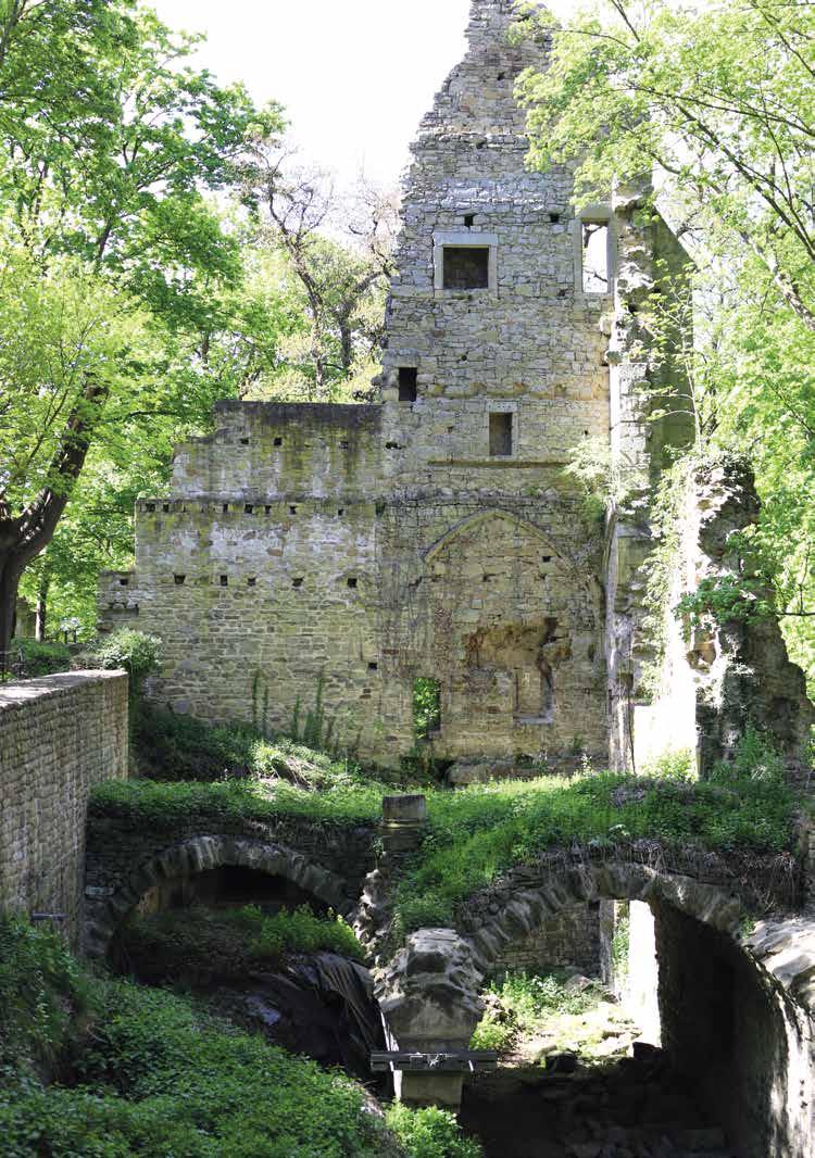 DISIBODENBERG Die verwunschene Ruinenanlage eines Klosters aus der Zeit der Romanik und Gotik offenbart in eindrucksvoller Weise die Spuren des Mittelalters auf einem Berg, der schon von Kelten und