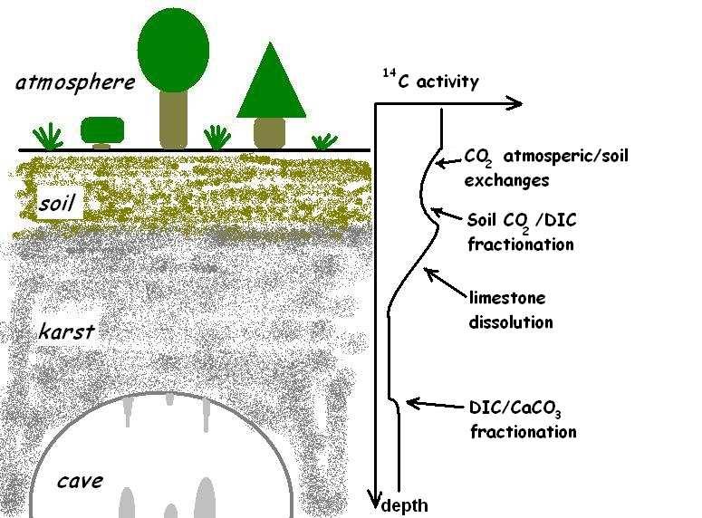 3. 14 C in cave systems Figure 3.2: The schematic sketch shows the 14 C activity evolution of dissolved inorganic carbon in water.