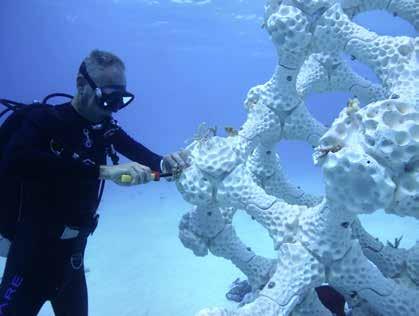 NEUES ZUHAUSE FÜR MEERESBEWOHNER Fotos: Reef Design Lab/Alex Goad Nach und nach erobern Korallenlarven ihr neues Zuhause (Bild).