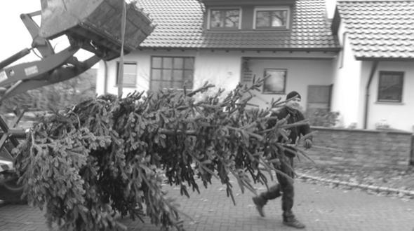 Am 4. Advent hatten sich viele Gemeindeglieder meist zu Fuß auf den beleuchteten Weg zum Mahlholz gemacht, um dort eine stimmungsvolle Waldweihnacht zu feiern.