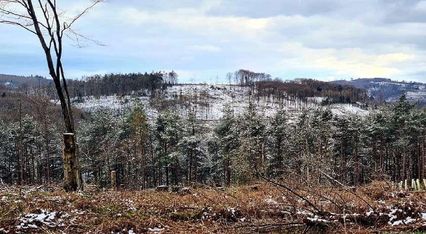 Die archäologische Untersuchung der Ringwall-Befestigung auf der Leuscheid Der schneebedeckte Bergrücken der Ringwälle im April 2022 Seit dem Jahr 2017 nahm sich das LVR-Amt für Bodendenkmalpflege