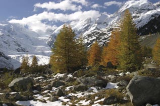 Dufourspitze in den Walliser Alpen, mit 4.