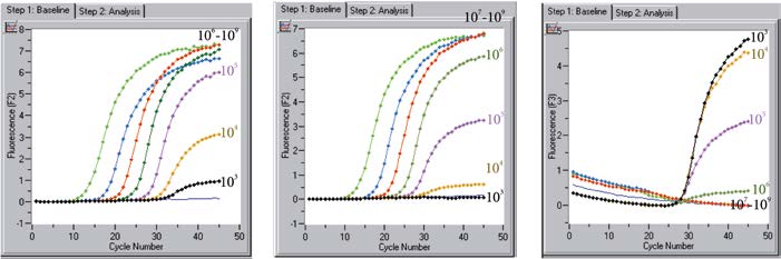Anwendungsbeispiel 2: Quantitative Multiplex-PCR im Real-Time-Format Es wird eine Multiplex-PCR mit dem karussellbasierten LightCycler System durchgeführt.