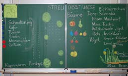 Teilen Sie die Tafel in drei Segmente ein (STREU/OBST/ WIESE). Überlegen Sie gemeinsam mit den Schülern, wofür die einzelnen Wortteile von Streuobstwiese stehen.