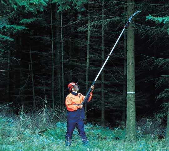 19 Wertästung Besteigen von Bäumen Im Fallbereich von Ästen dürfen sich nur die mit dem Schneidvorgang beschäftigten Personen aufhalten!