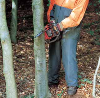 29 Stückweises Absägen im Schwachholz VSG 4.3 (Forsten) 5 (6) Nur in dichten Schwachholzbeständen dürfen hängengebliebene Bäume durch stückweises Absägen zu Boden gebracht werden.