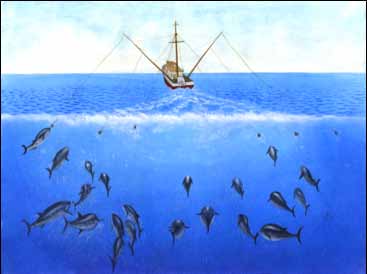 8 Schleppangelfischerei Schleppfang auf Thunfische Beim Schleppfischen werden Leinen mit Köderhaken oder Lockmitteln von einem sich langsam bewegenden Schiff durch das Wasser gezogen.