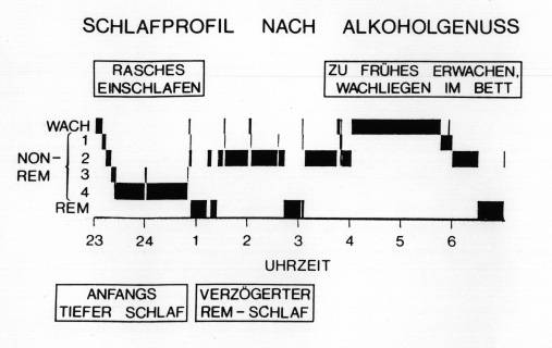 Abbildung 5-6 Abb. 5.6: Schlafprofil nach Alkoholgenuß. Alkohol ist ein schlechtes Schlafmittel. Schlafprofil nach einem halben Liter Rotwein.