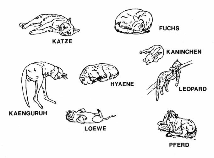 Abbildung 7-1 A 7.1: Schlafstellung von Tieren.