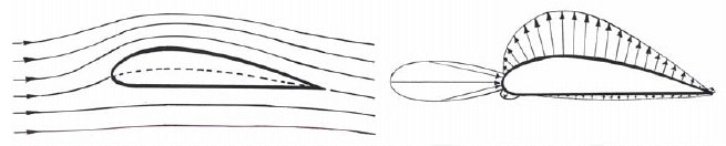 Physikalische Erklärung des aerodynamischen Auftriebs 3 außen, mit nach oben wirkenden Kraft.