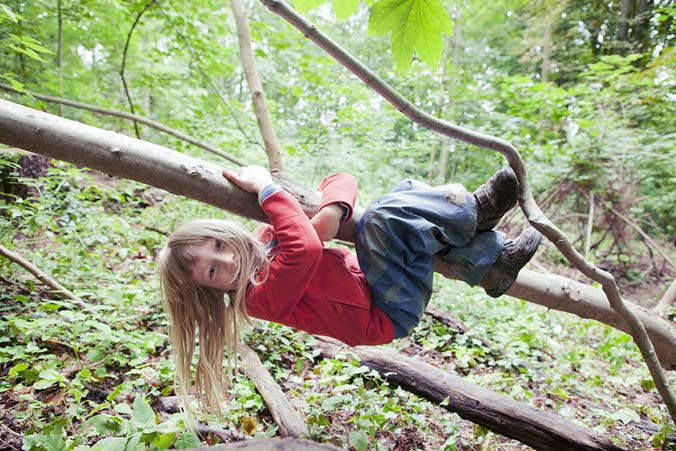 Ist ihr Kind schon einmal ohne Hilfe auf einen Baum hoch geklettert?