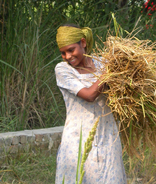 Reisbäuerin, Indien Rizicultrice, Inde Srinivasan Chandrasekaran, lokaler Berater der Bauernkooperative Khaddar, Indien: «Die Max Havelaar-Zertifizierung gibt den Bauern