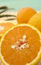 Die Orangenplantagen dort sind etwa so groß wie die Flächen von Mecklenburg-Vorpommern und Niedersachsen zusammen. Orangensaft ist günstig und gesund, er enthält wertvolle Mineralstoffe und Vitamine.