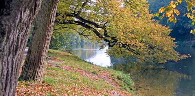 Der Schöpfungsweg führt in Form eines Der Flusspfad etwa 5 Kilometer langen Rundwegs mit meditativen Stationen durch den Michelsberger Wald (detaillierte Informationen auf den Seiten 4 und 5).