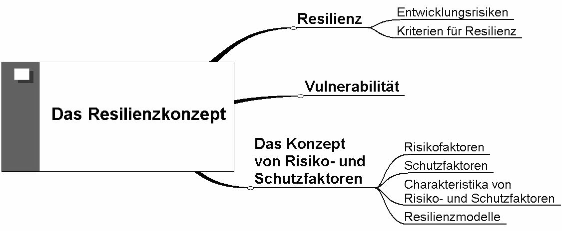 2 Das Resilienzkonzept Einleitung In diesem Abschnitt wird das Konzept der Resilienz erläutert. Die Begriffe Resilienz und Vulnerabilität werden erklärt und definiert.