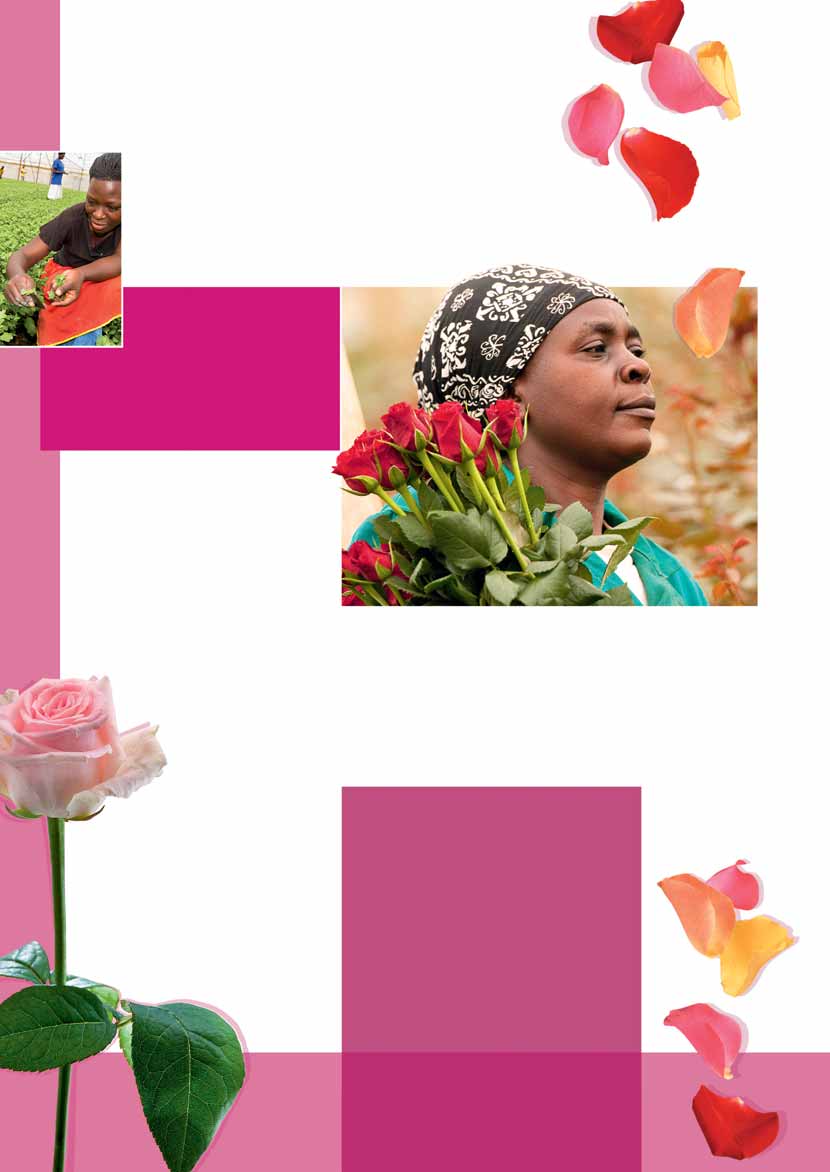 Fairtrade-Rosen für die Kirche Faire Blumen beim Valentinsgottesdienst in St. Michael, Jena Zum Valentinstag, bei Hochzeiten oder zum Muttertag: Manchmal müssen es einfach Rosen sein.