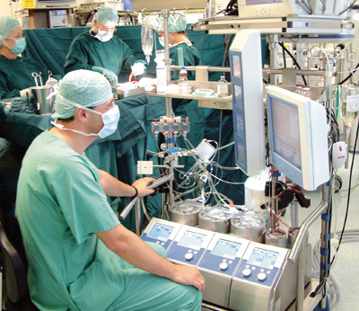 Gefahren für die Niere Phase 1 - vor der Transplantation strukturelle