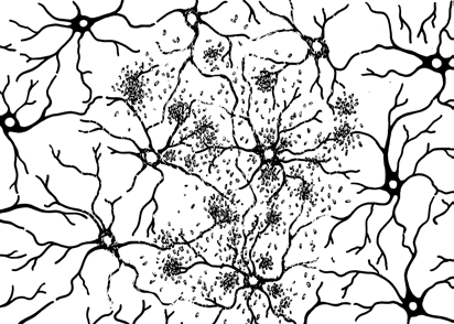 Die Nervenzellen sind durch Synapsen verbunden. In die Synapse einlaufende elektrische Impulse veranlassen die Ausschüttung chemischer Stoffe, der sogenannten Neurotransmitter.