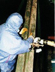 13: Reinigungstätigkeit an einem durch Taubenkot verschmutztem Stahlträger. Die Verschmutzung wird mit Hilfe einer Drahtbürste entfernt.