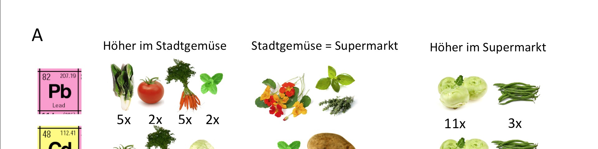 Abbildung 3: Mittlere Blei- und Cadmiumkonzentrationen in der Berliner Innenstadt geernteten Gemüse- und Obstarten im Vergleich zu Supermarktprodukten (Daten: Säumel et al.