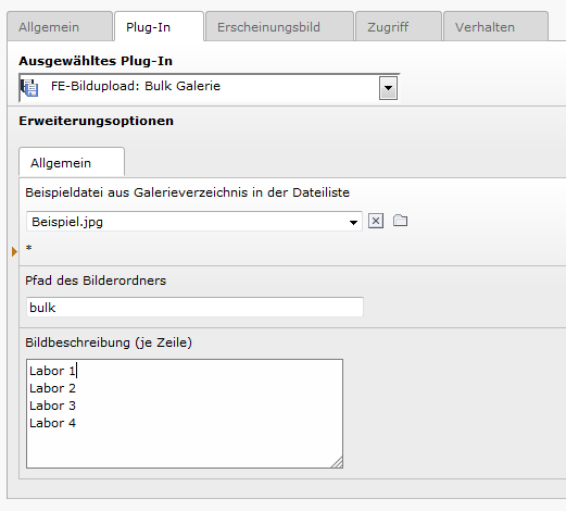 2. Schritt: Dort wählen Sie im Reiter Plug-In das Plug-In FE-Bildupload: Bulk Galerie aus. 3. Schritt: In den Erweiterungsoptionen wählen Sie über die Schaltfläche den Bilder-Ordner aus, den Sie in 5.