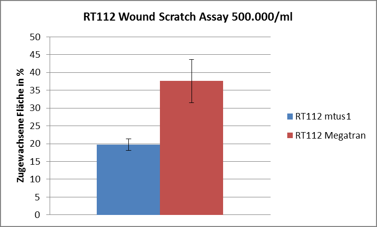 A B Abbildung 3-55: Ergebnisse des Wound Scratch Assays in RT112 nach ektopischer MTUS1-Expression mit zwei verschiedene Zelldichten, A 500.000Zellen pro ml, B 750.000 Zellen pro ml. 3.4.