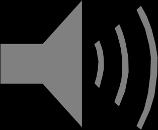 Citrix Audio Service Standard Windows Service Läuft unter dem Local Service Account Nutzt den Citrix WDM Treiber um bi-direktionales Audio zu ermöglichen Abhängig