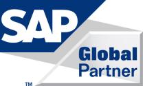 SAP Global Service Partner 2011 SAP Global Technology Partner SAP Awards SAP Pinnacle Award