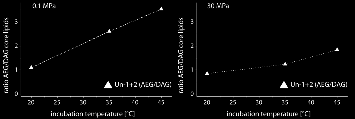 Fig. 5.2: LC -MS ma ss-chr omatogra ms of Un-1 a nd Un-2 Fig. 5.3: Ratios of Un-1 +Un-2 AEG to Un-1+Un-2 DAG lipi ds Unknown intact polar lipids from Desulfovibrio indonensiensis Figure 5.