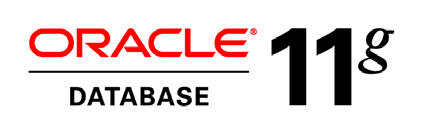 Die Oracle Datenbank ist darauf ausgelegt, Unternehmen durch den Einsatz von Grid Computing die Komplexität ihrer IT zu reduzieren und bei schneller Anpassung ihrer Prozesse zu unterstützen.