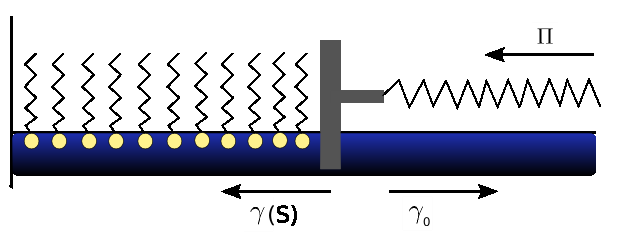 wobei V wieder das Volumen der hydrophoben Kette und U L die Transferenergie einer hydrophoben Gruppe bezeichnet.