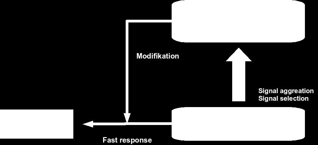 Teile & Herrsche Modelle für die Signalverarbeitung Schichtenbasiertes