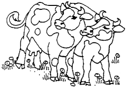 - E.I.15 - Wir erkunden einen Bauernhof - Umweltbildung - Gibt eine Kuh eigentlich immer Milch? Was fressen Schweine? Warum stinkt die Gülle so?