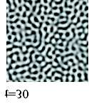 9.2 Manipulation durch Laserspot 113 a b c d e f Abbildung 9.1: Zeitliche Entwicklung der Phasenseparation bei angelegtem periodischem Temperaturprofil. Abb. reproduziert aus [76] Gemäß den Simulationen sollte ein a min 10 2 ausreichend sein, um die forcierte Entmischung zu bewirken.